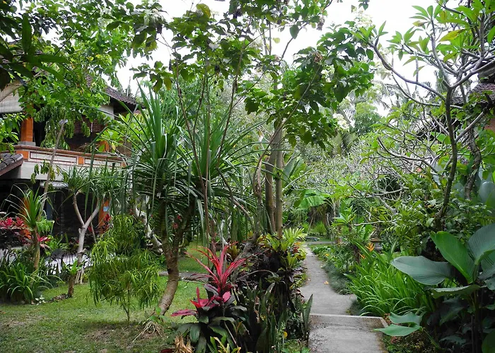 Recep Guest house